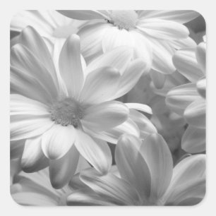 Tulips in Keukenhof Gardens, Holland. 2 Square Sticker
