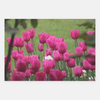 Tulips in Palais Royal Wrapping Paper Sheet