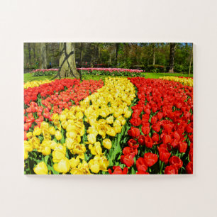 Tulips in sunshine in Holland Jigsaw Puzzle