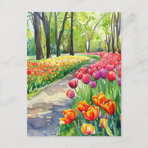 Tulips in The Park Postcard