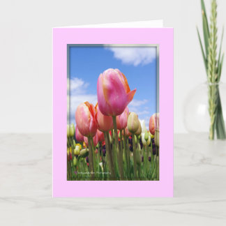 Tulips In The Sun - Blank Card