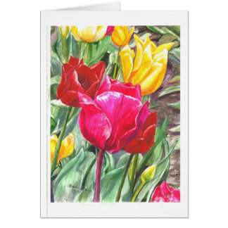 Tulips in their best