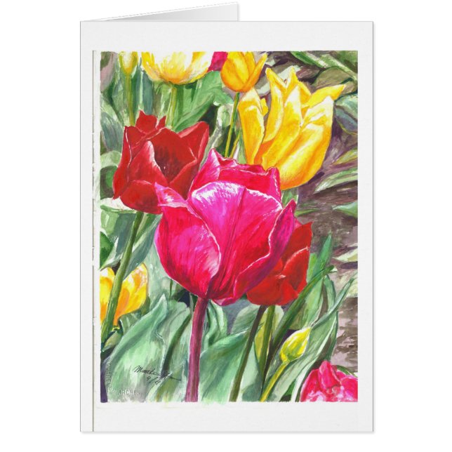 Tulips in their best (Front)
