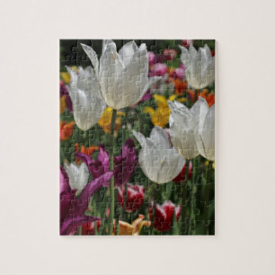 Tulips Jigsaw Puzzle