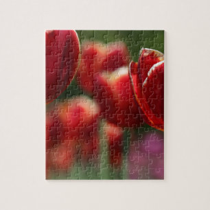 Tulips Jigsaw Puzzle