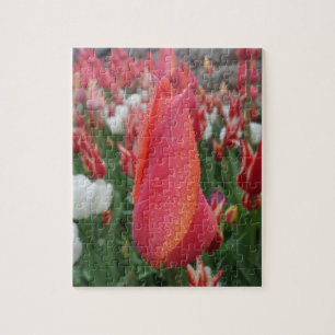 Tulips Jigsaw Puzzle
