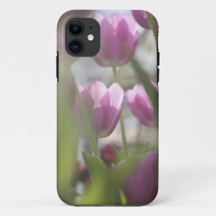 Tulips, Keukenhoff Gardens, Netherlands. iPhone 11 Case