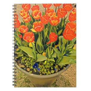 Tulips modern floral flower festival notebook