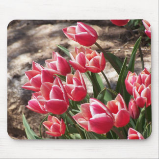 Tulips Mouse Pad