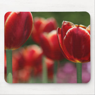 Tulips Mouse Pad