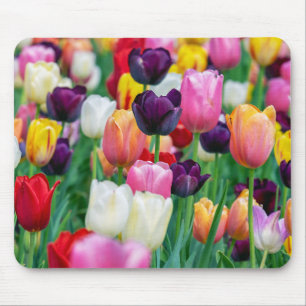 Tulips Mouse Pad