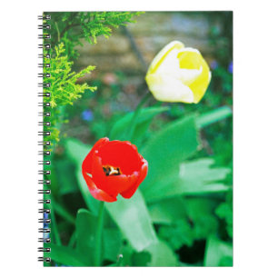 Tulips Notebook