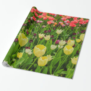 tulips on Glossy Wrapping Paper