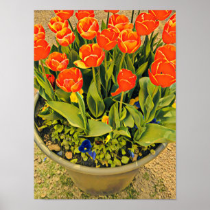 Tulips orange flower festival photography poster