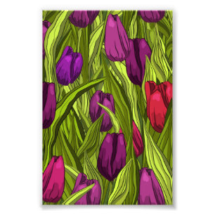 Tulips Photo Print