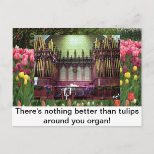 Tulips Postcard