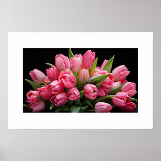Tulips Poster