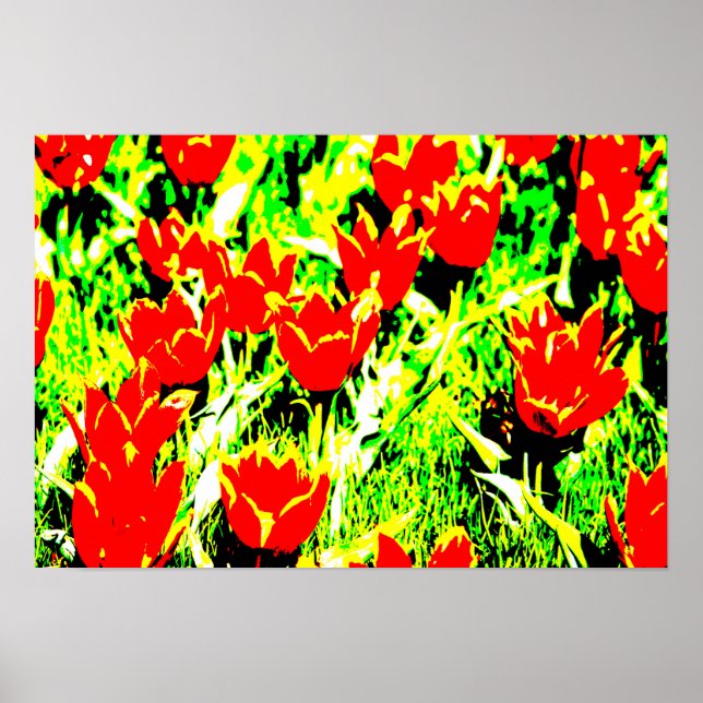 Tulips Poster (Front)