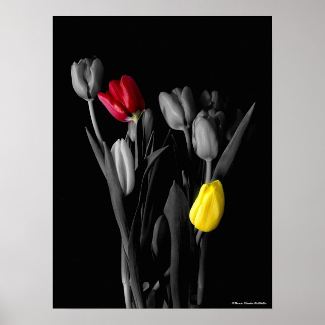 Tulips Poster (Front)