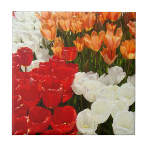 Tulips Red Orange White Tulip Flowers gifts Tile