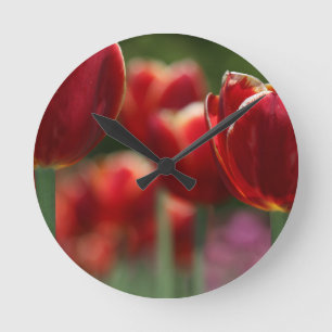 Tulips Round Clock
