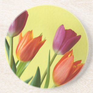 Tulips Sandstone Coaster