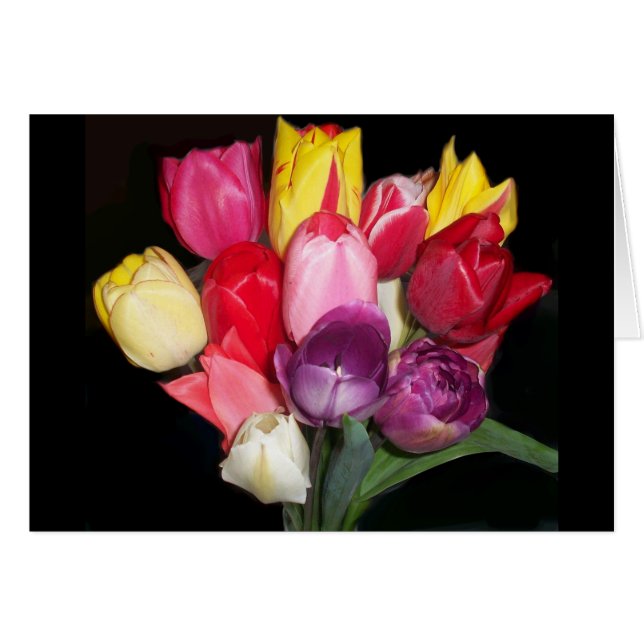 Tulips Says it All (Front Horizontal)