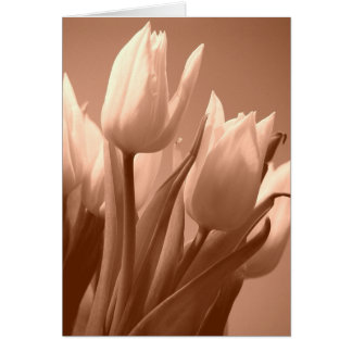 Tulips sepia