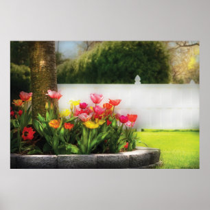 Tulips - Spring Tulips Poster
