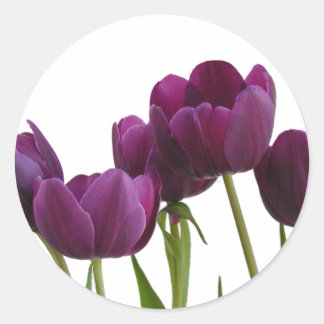 Tulips Sticker