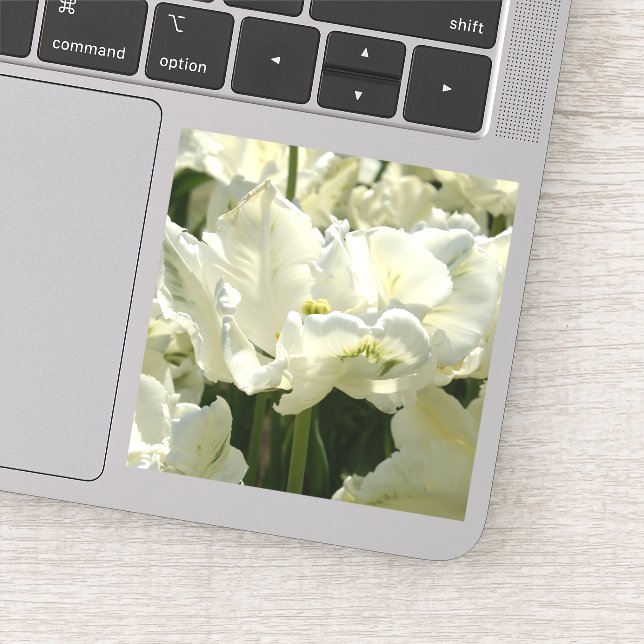 Tulips the white (Detail)