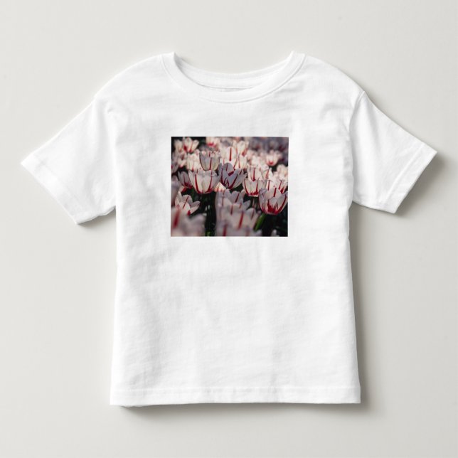 Tulips Toddler T-Shirt (Front)