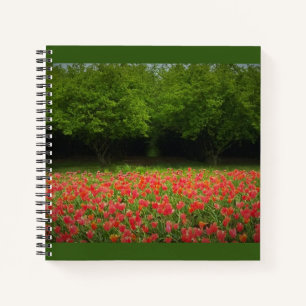 Tulips & Trees Notebook