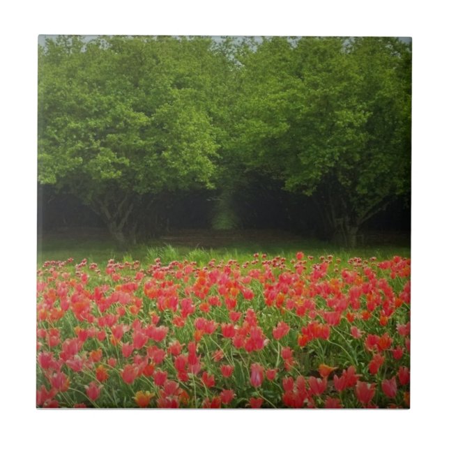 Tulips & Trees Tile (Front)