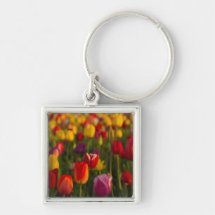 Tulips, Tulip Festival, Woodburn, Oregon, USA 2 Key Ring