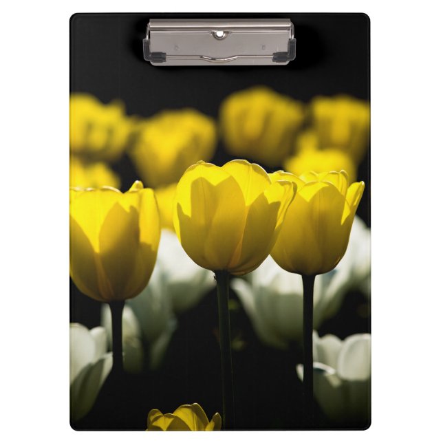 Tulips Yellow And White Clipboard (Front)