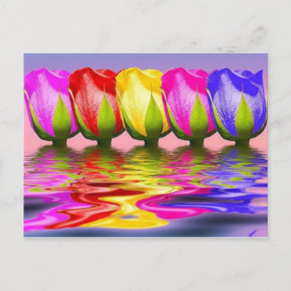 tulpen in water postcard