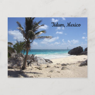 Tulum, Mexico - Beach - Palm Trees Postcard