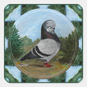 Tumbler Blue Grizzle Pigeon Square Sticker