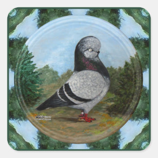 Tumbler Blue Grizzle Pigeon Square Sticker