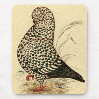 Tumbler: LFCL Splash Mouse Pad