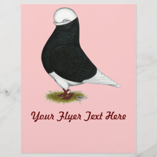 Tumbler Pigeon Black Bald CL Flyer