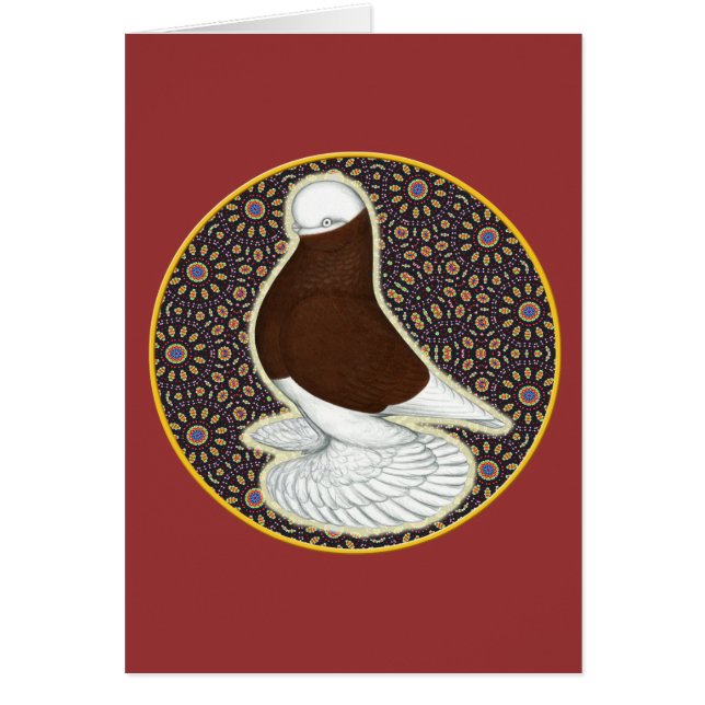 Tumbler Pigeon Circle (Front)