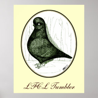 Tumbler Pigeon LFCL From 1978 Poster