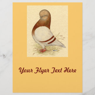 Tumbler Pigeon: LFCL Mealy Flyer