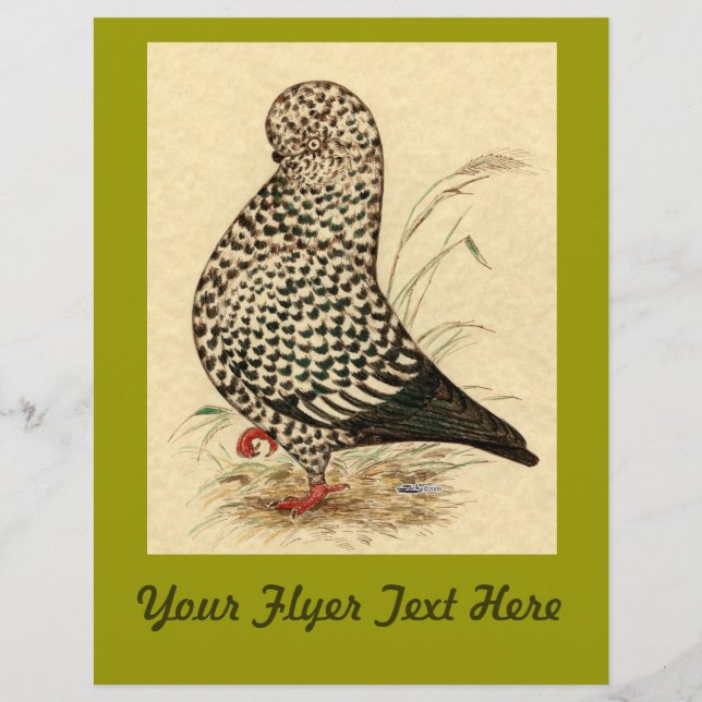Tumbler Pigeon LFCL Splash Flyer (Front)