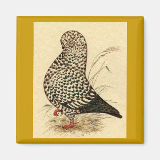 Tumbler Pigeon LFCL Splash Magnet