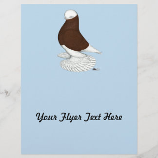 Tumbler Pigeon Muffed Red Bald Flyer