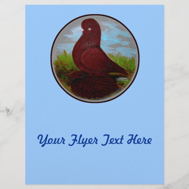 Tumbler Pigeon Red Muff Flyer (Front)
