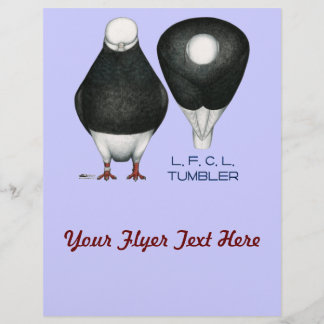 Tumbler Pigeon Standard Black Bald Flyer